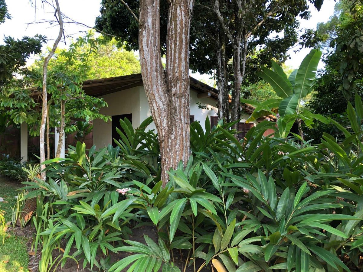Casa Aracua Trancoso Villa Ngoại thất bức ảnh